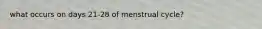 what occurs on days 21-28 of menstrual cycle?