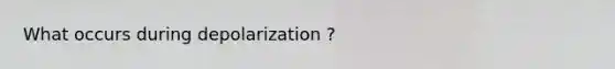 What occurs during depolarization ?