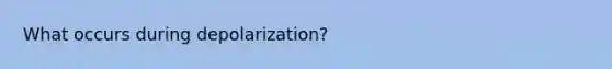 What occurs during depolarization?