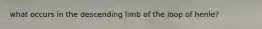 what occurs in the descending limb of the loop of henle?