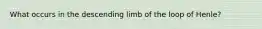 What occurs in the descending limb of the loop of Henle?