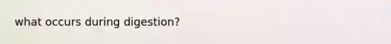 what occurs during digestion?
