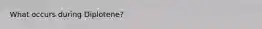 What occurs during Diplotene?