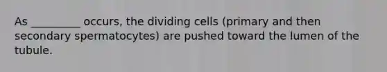 As _________ occurs, the dividing cells (primary and then secondary spermatocytes) are pushed toward the lumen of the tubule.