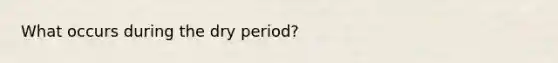 What occurs during the dry period?