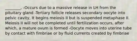 ________, -Occurs due to a massive release in LH from the pituitary gland -Tertiary follicle releases secondary oocyte into pelvic cavity, It begins meiosis II but is suspended metaphase II. Meiosis II will not be completed until fertilization occurs, after which, a mature ovum is formed -Oocyte moves into uterine tube by contact with fimbriae or by fluid currents created by fimbriae