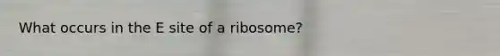 What occurs in the E site of a ribosome?