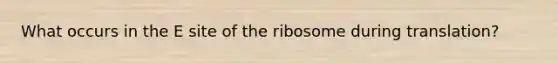 What occurs in the E site of the ribosome during translation?