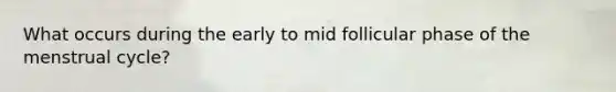 What occurs during the early to mid follicular phase of the menstrual cycle?