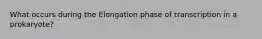 What occurs during the Elongation phase of transcription in a prokaryote?