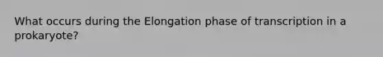 What occurs during the Elongation phase of transcription in a prokaryote?