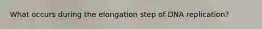 What occurs during the elongation step of DNA replication?