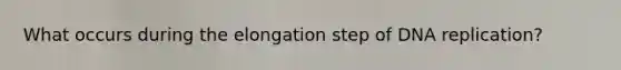 What occurs during the elongation step of DNA replication?