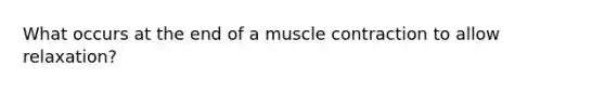 What occurs at the end of a muscle contraction to allow relaxation?