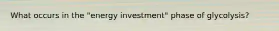 What occurs in the "energy investment" phase of glycolysis?