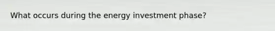 What occurs during the energy investment phase?