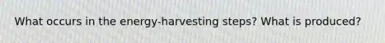 What occurs in the energy-harvesting steps? What is produced?