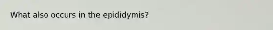 What also occurs in the epididymis?