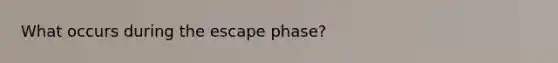 What occurs during the escape phase?