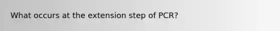 What occurs at the extension step of PCR?