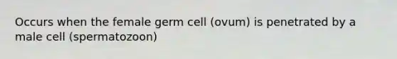 Occurs when the female germ cell (ovum) is penetrated by a male cell (spermatozoon)