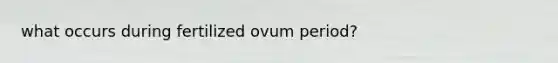 what occurs during fertilized ovum period?