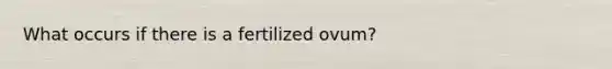 What occurs if there is a fertilized ovum?