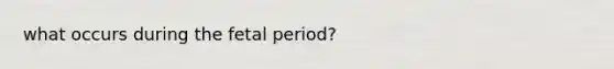 what occurs during the fetal period?