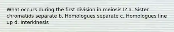 What occurs during the first division in meiosis I? a. Sister chromatids separate b. Homologues separate c. Homologues line up d. Interkinesis