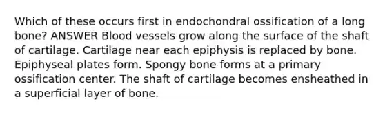 Which of these occurs first in endochondral ossification of a long bone? ANSWER Blood vessels grow along the surface of the shaft of cartilage. Cartilage near each epiphysis is replaced by bone. Epiphyseal plates form. Spongy bone forms at a primary ossification center. The shaft of cartilage becomes ensheathed in a superficial layer of bone.