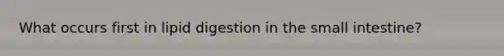 What occurs first in lipid digestion in the small intestine?