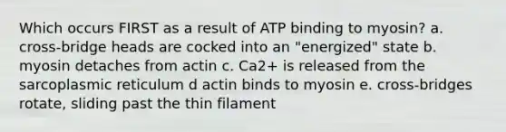 Which occurs FIRST as a result of ATP binding to myosin? a. cross-bridge heads are cocked into an "energized" state b. myosin detaches from actin c. Ca2+ is released from the sarcoplasmic reticulum d actin binds to myosin e. cross-bridges rotate, sliding past the thin filament