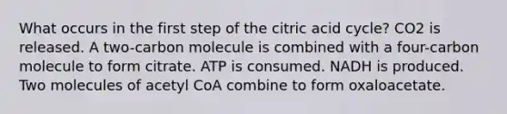 What occurs in the first step of the citric acid cycle? CO2 is released. A two-carbon molecule is combined with a four-carbon molecule to form citrate. ATP is consumed. NADH is produced. Two molecules of acetyl CoA combine to form oxaloacetate.