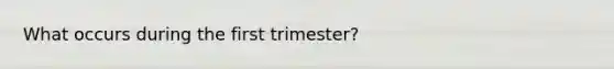 What occurs during the first trimester?