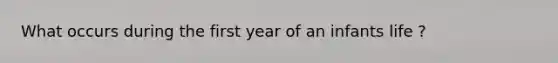 What occurs during the first year of an infants life ?