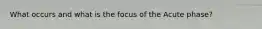 What occurs and what is the focus of the Acute phase?