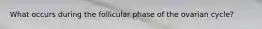 What occurs during the follicular phase of the ovarian cycle?