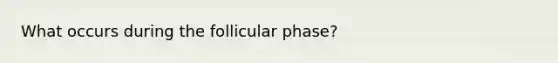 What occurs during the follicular phase?