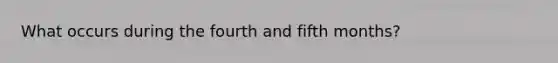 What occurs during the fourth and fifth months?