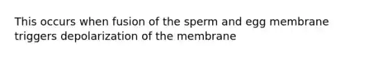 This occurs when fusion of the sperm and egg membrane triggers depolarization of the membrane