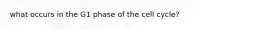 what occurs in the G1 phase of the cell cycle?