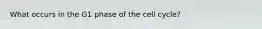 What occurs in the G1 phase of the cell cycle?