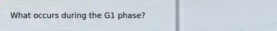 What occurs during the G1 phase?