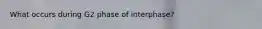 What occurs during G2 phase of interphase?