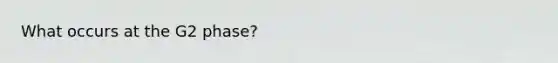 What occurs at the G2 phase?