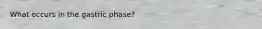 What occurs in the gastric phase?