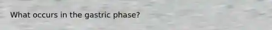 What occurs in the gastric phase?