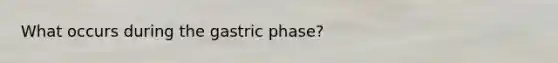 What occurs during the gastric phase?