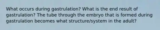 What occurs during gastrulation? What is the end result of gastrulation? The tube through the embryo that is formed during gastrulation becomes what structure/system in the adult?