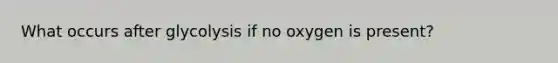 What occurs after glycolysis if no oxygen is present?